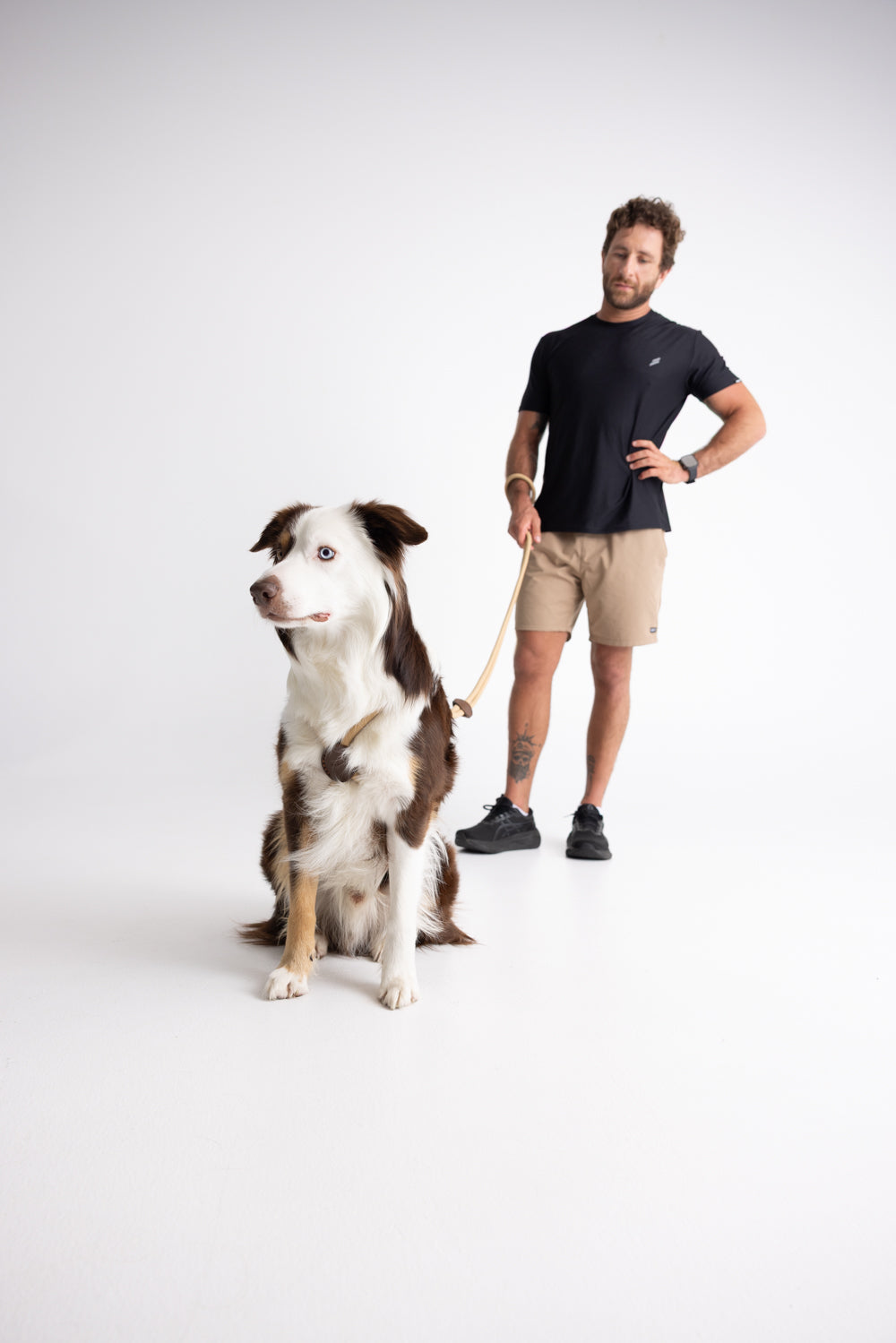 The Collie 5-in-1 Ultimate Dog Leash - Beige