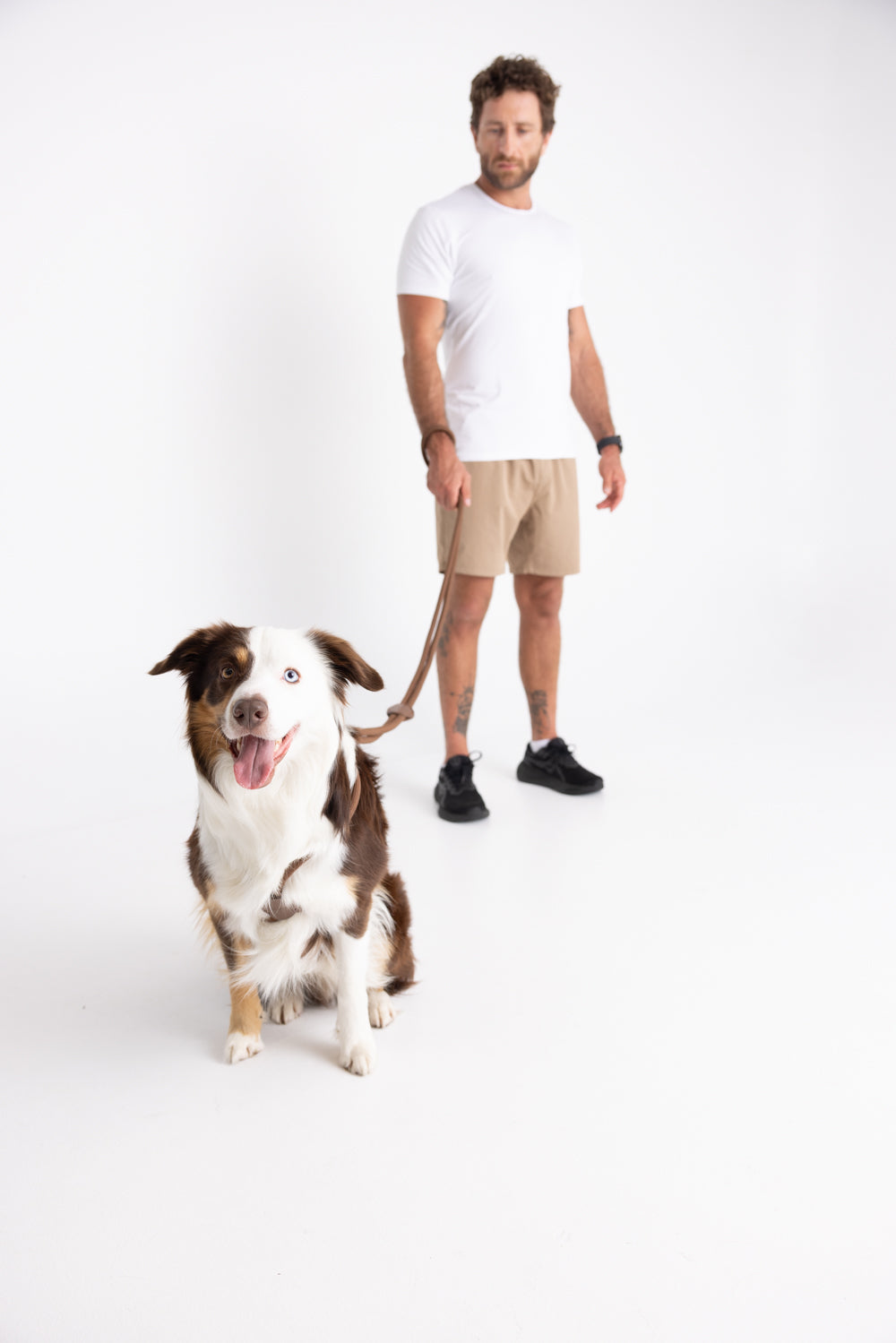 The Collie 5-in-1 Ultimate Dog Leash - Brown